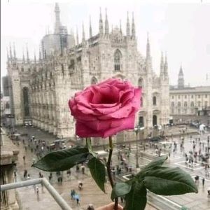 Meet your Posher, Karla